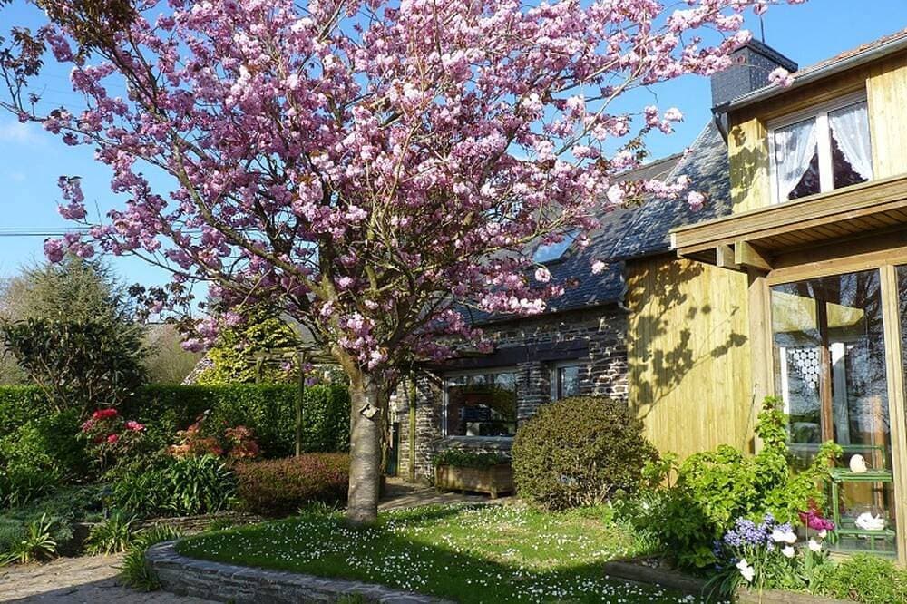 Landhaus in Plestin les Grèves 1