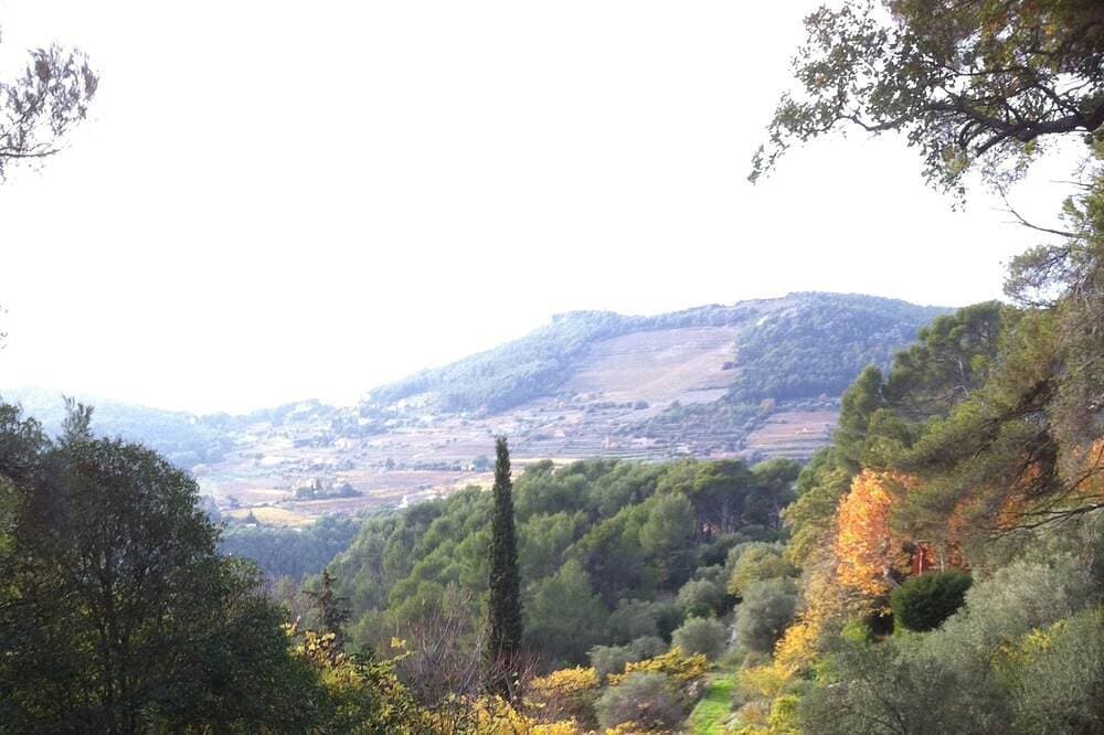 Foto 12 von 28: Unabhängiges Haus, Pool, Natur In Der Nähe Von Bandol Le Castellet Sanary