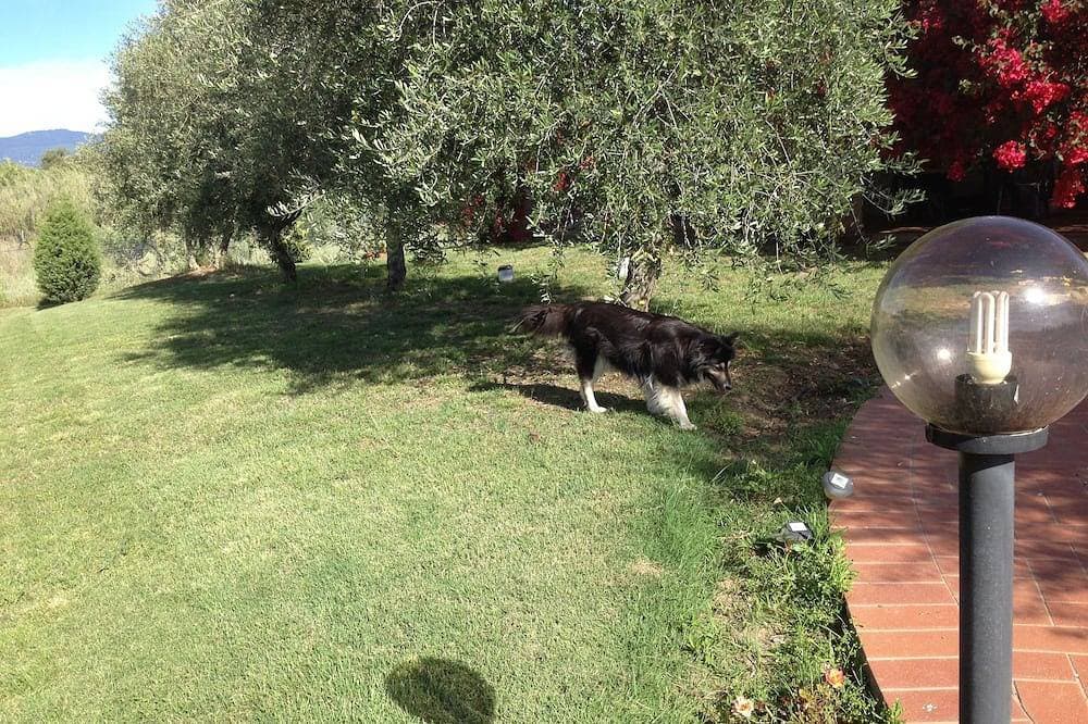 Foto 3 von 28: Casa Santina Haus in einem großen mediterranen Garten befindet