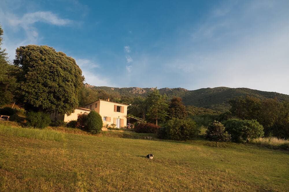Foto 7 von 21: Cottage 2/3 Pers., Nahe dem Meer und Blick aufs Meer, 23 km von Ajaccio