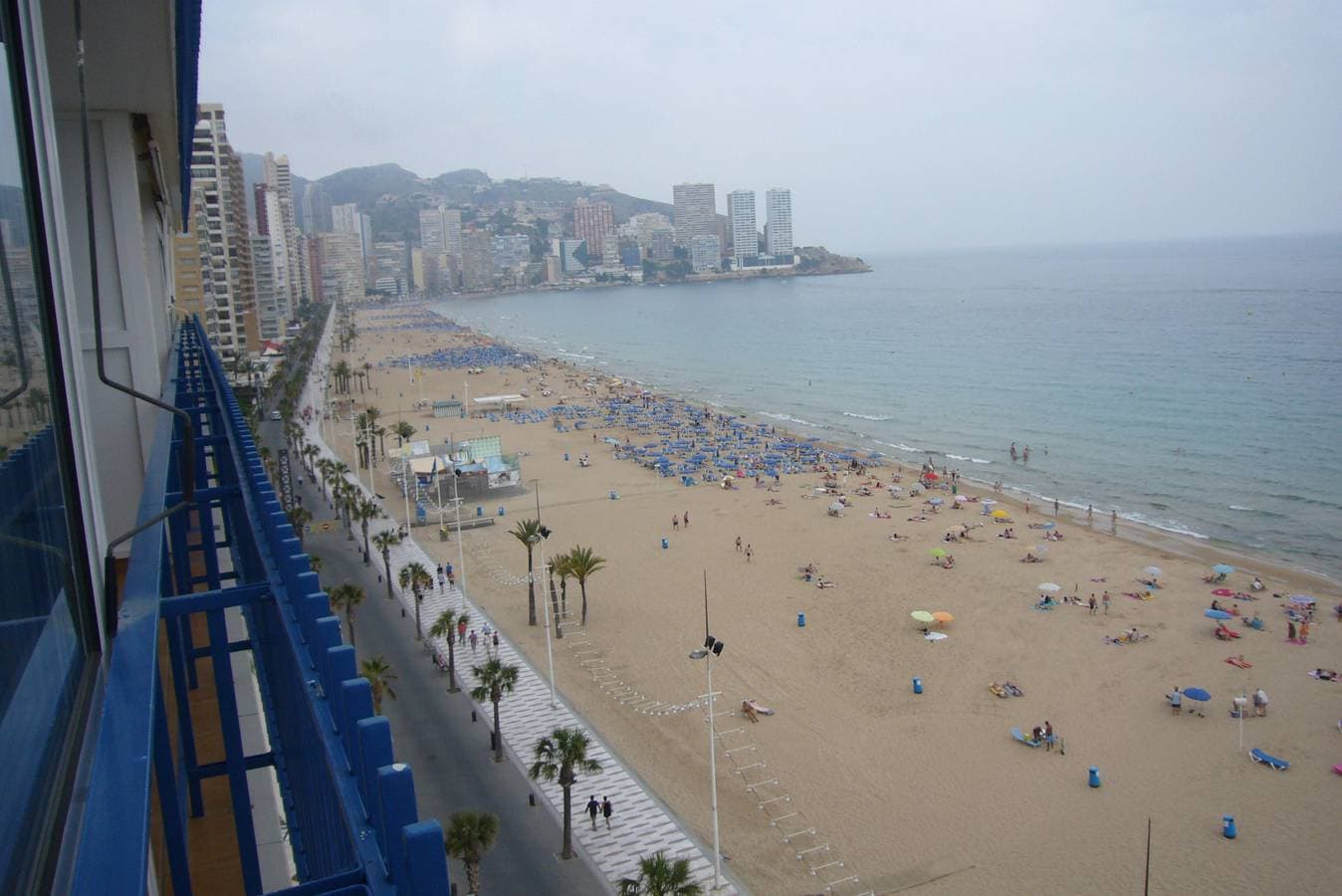 Foto 3 von 17: Palmeras 9E