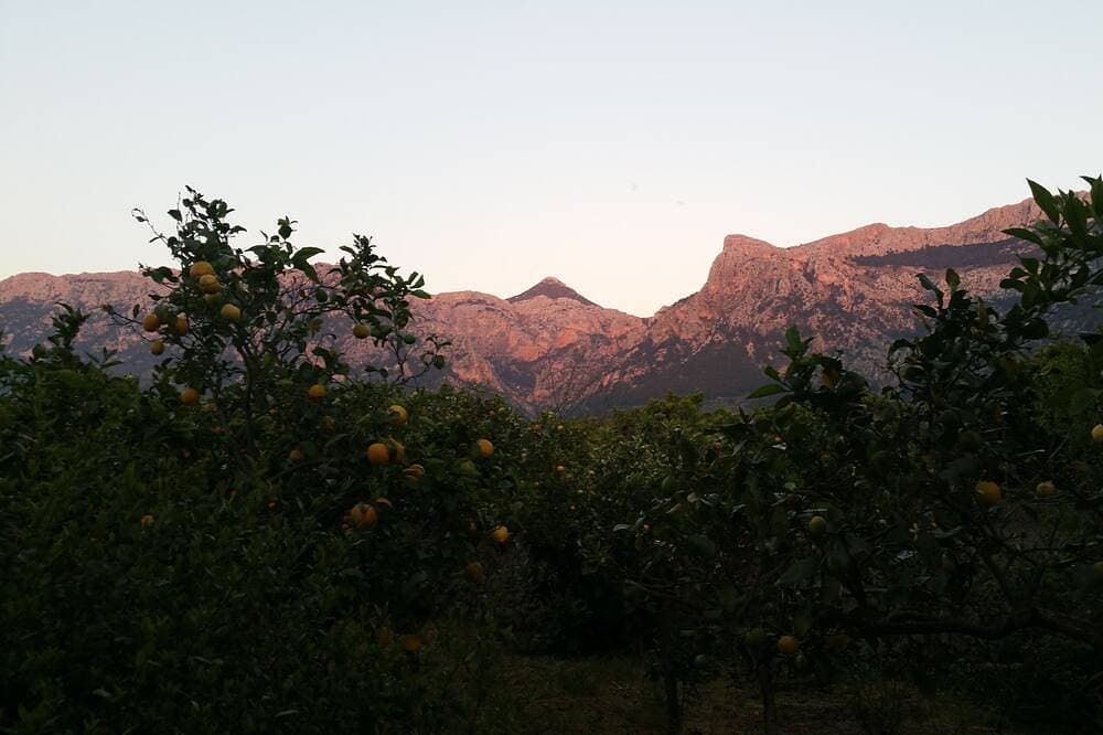 Foto 9 von 30: Charme Finca, Soller, Herrliche Aussicht,  Pool, Ruhe...
