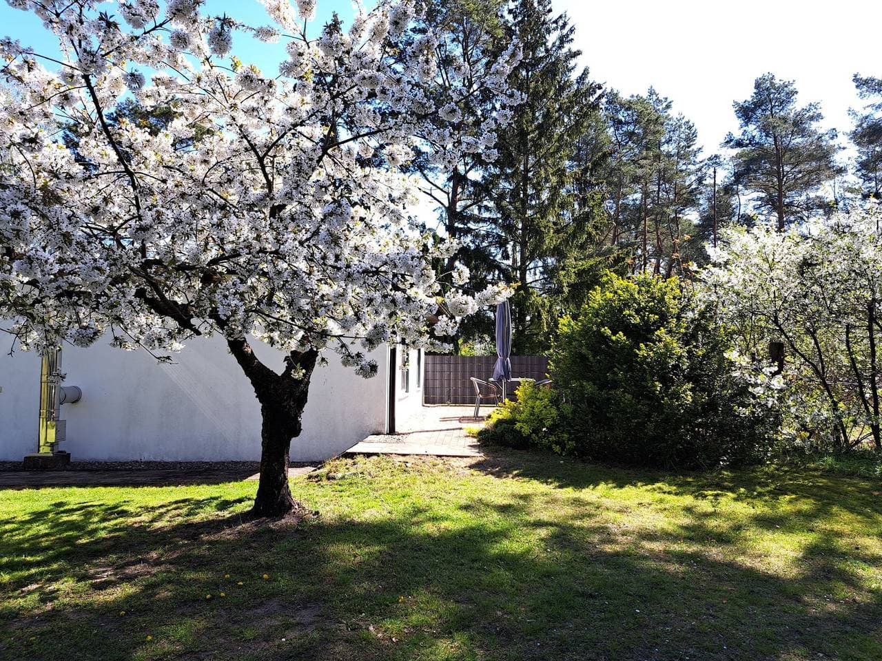 Foto 4 von 24: Mit Terrasse mitten im Grünen