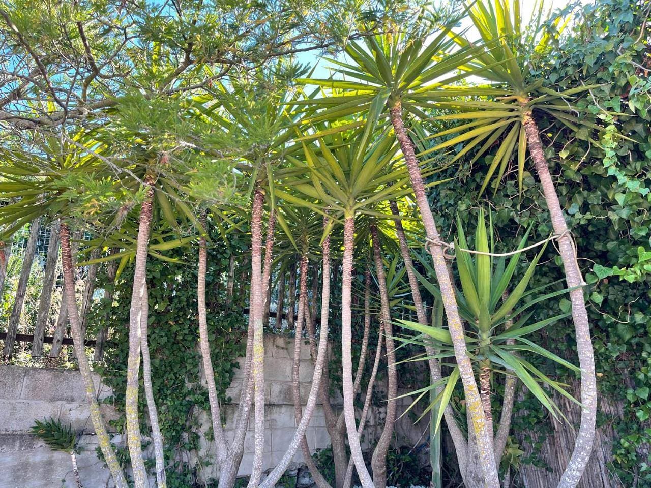 Foto 12 von 59: Holiday Home