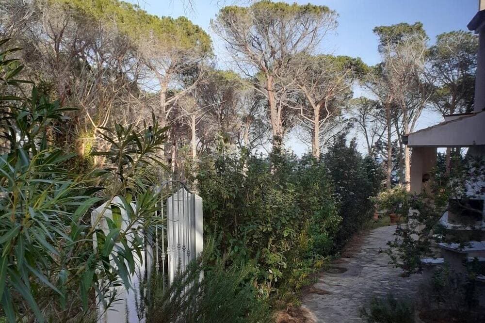 Foto 11 von 30: Oleandro Apartment, erste Reihe, nur wenige Schritte vom Strand entfernt (4 Sitze)