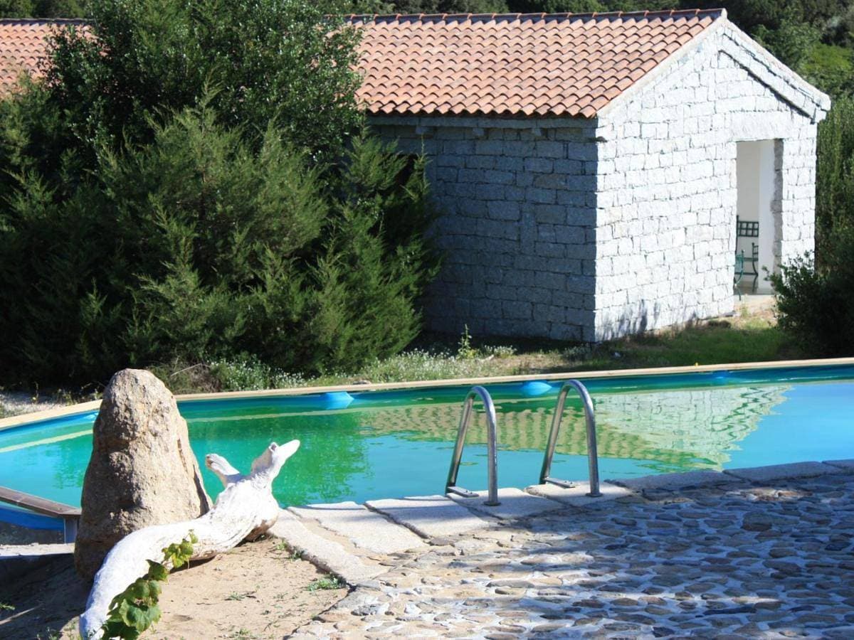 Mare Di Ginepri 1