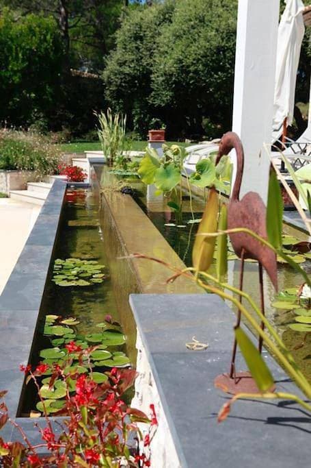 Foto 7 von 37: Villa with Private Pool