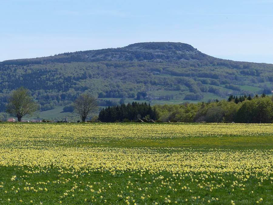 Domaine des Vans - Ferienhaus 2 personen - Ferienhaus für 2 Personen 1