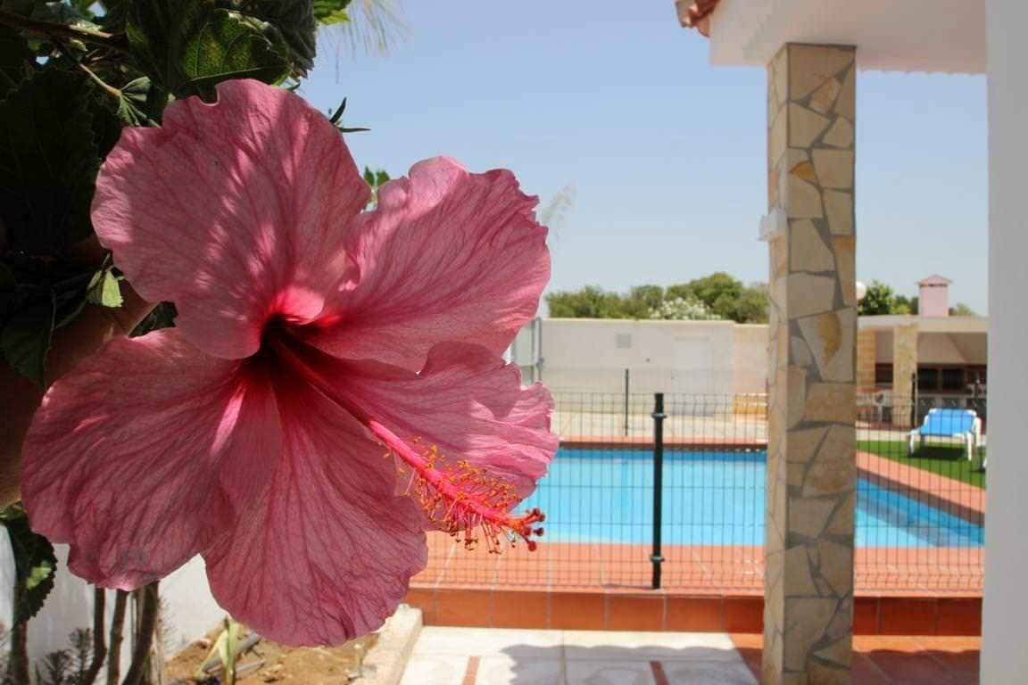 Foto 13 von 13: Privater Pool, nahe des Strandes Fuente del Gallo, Grillterrasse, Wifi  - Casa Eugenia -