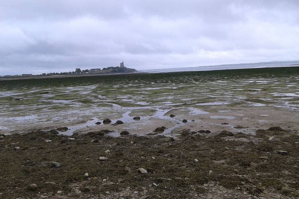 Foto 10 von 16: Ferienhaus in Saint Vaast la Hougue