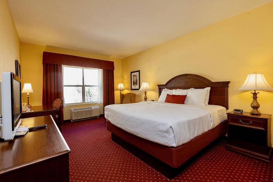 Foto 8 von 9: King Room - Not Pet Friendly