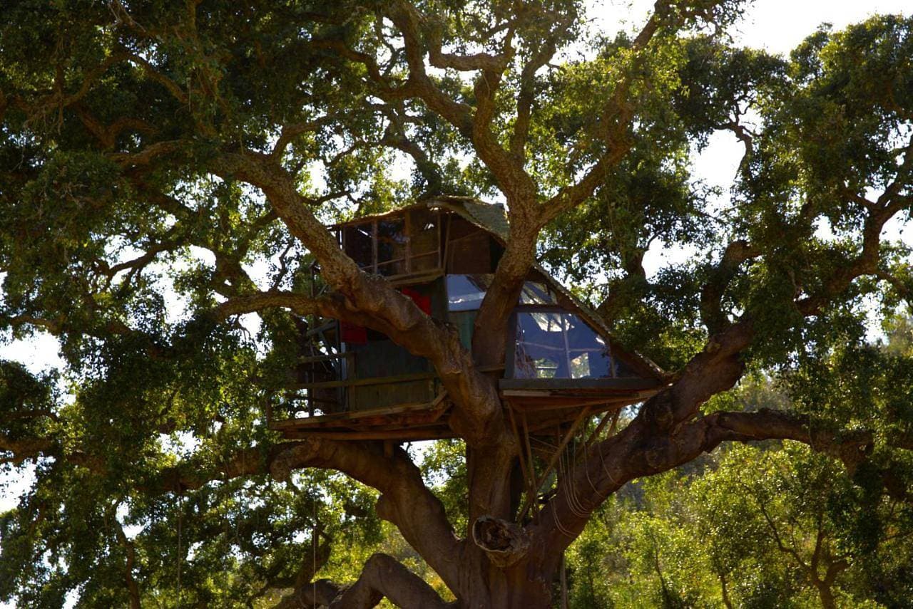 Tree house da Lage 1