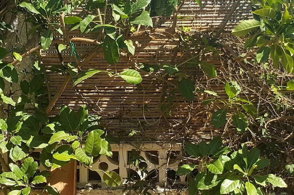 Foto 9 von 30: Gepflegtes, charmantes Haus + Garten, 4 P, Wintertermine kurzfristig wieder frei