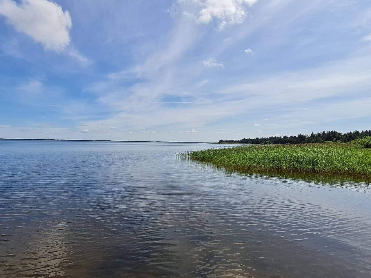 Foto 13 von 41: 6 Personen Ferienhaus in Ulfborg
