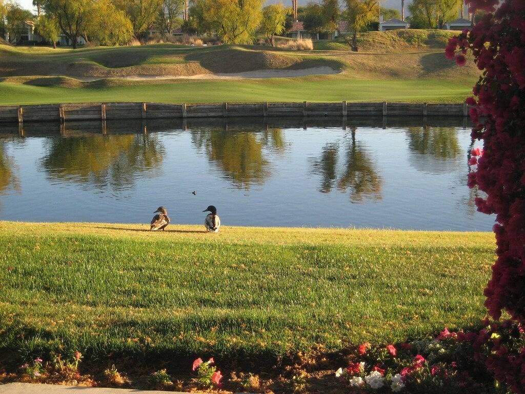 Foto 2 von 49: Luxus am See Pga West Townhome mit unglaublichem Blick / Private Courtyard Spa