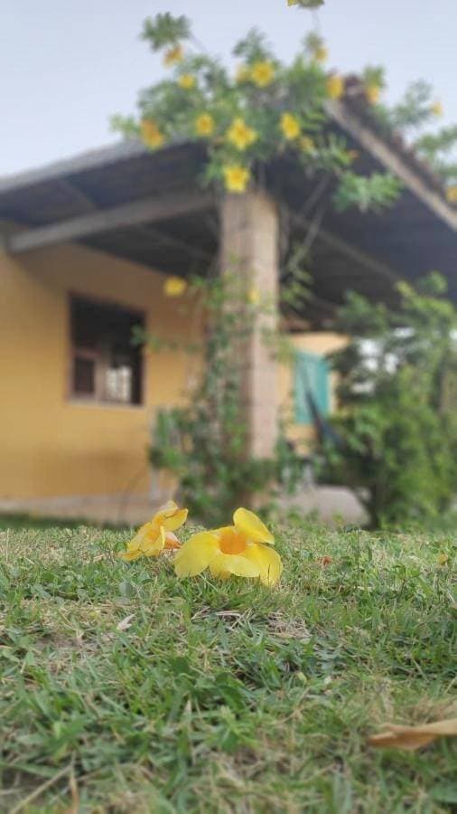 Foto 6 von 44: Residencia Familia