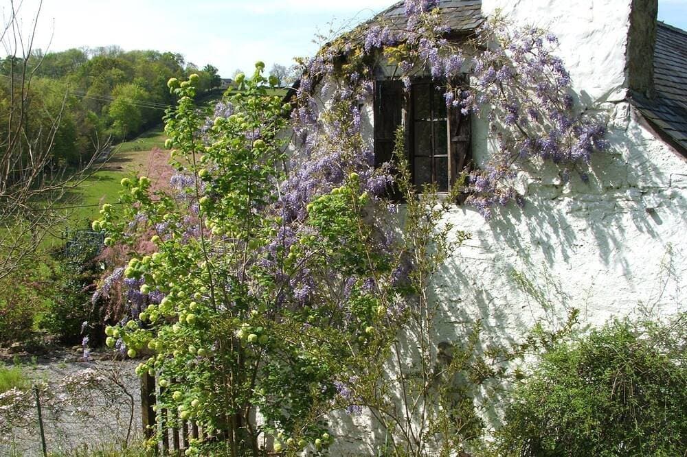Foto 8 von 30: 17th Century farm cottage nestling in the Pyrenean foothills with pool