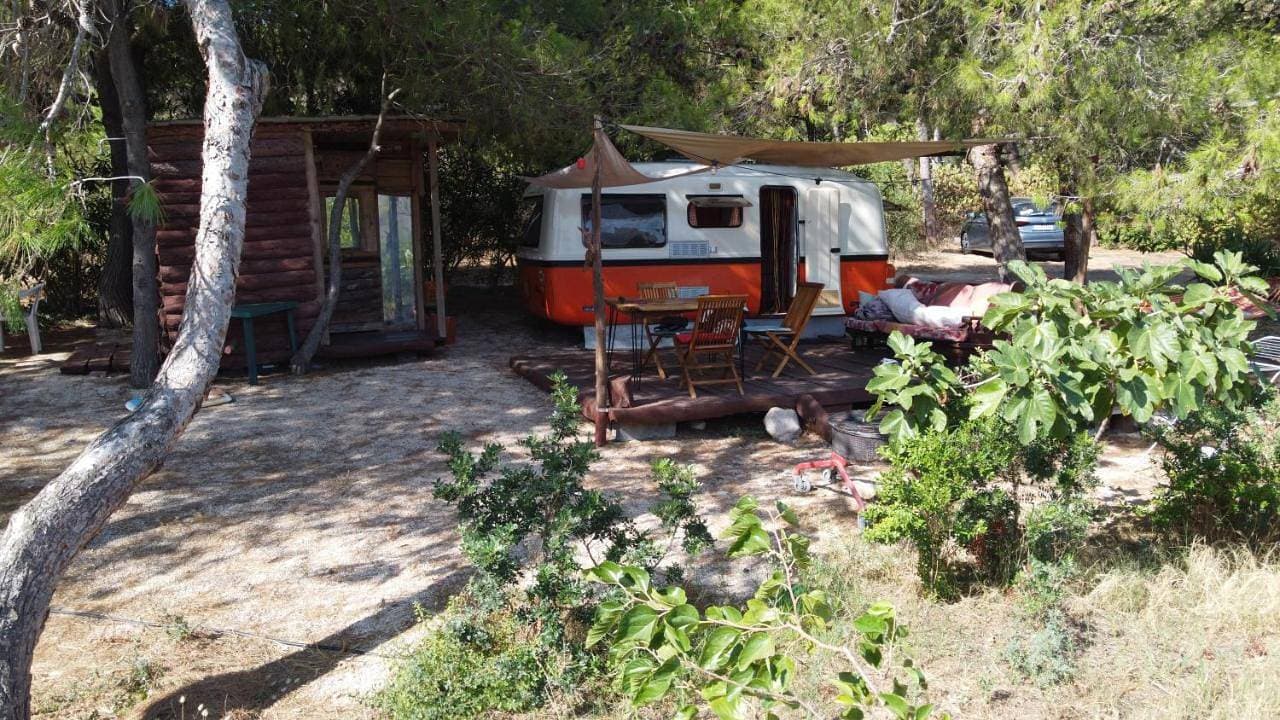 Roulotte Vintage con accesso spiaggia 1