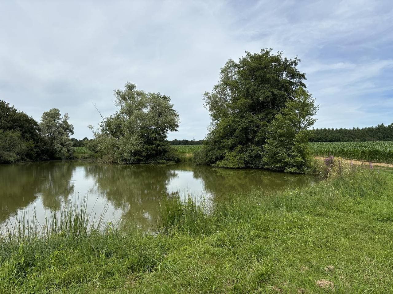 Foto 6 von 16: Gîte aux Cheveau