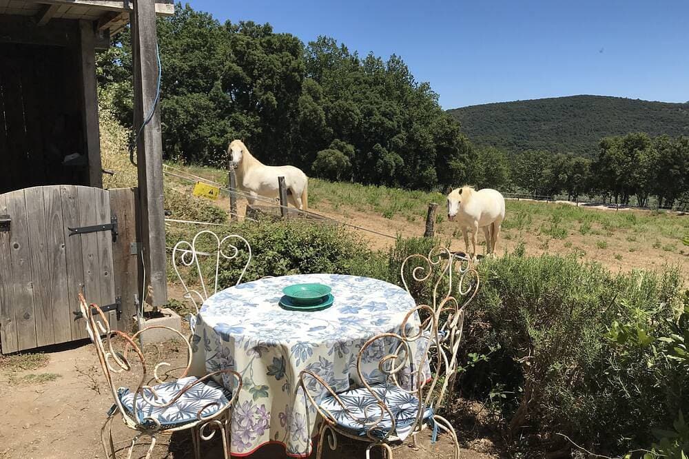 Foto 13 von 30: Le Charme Authentique et Bohème de la Pleine Nature Dans le Golfe de St Tropez