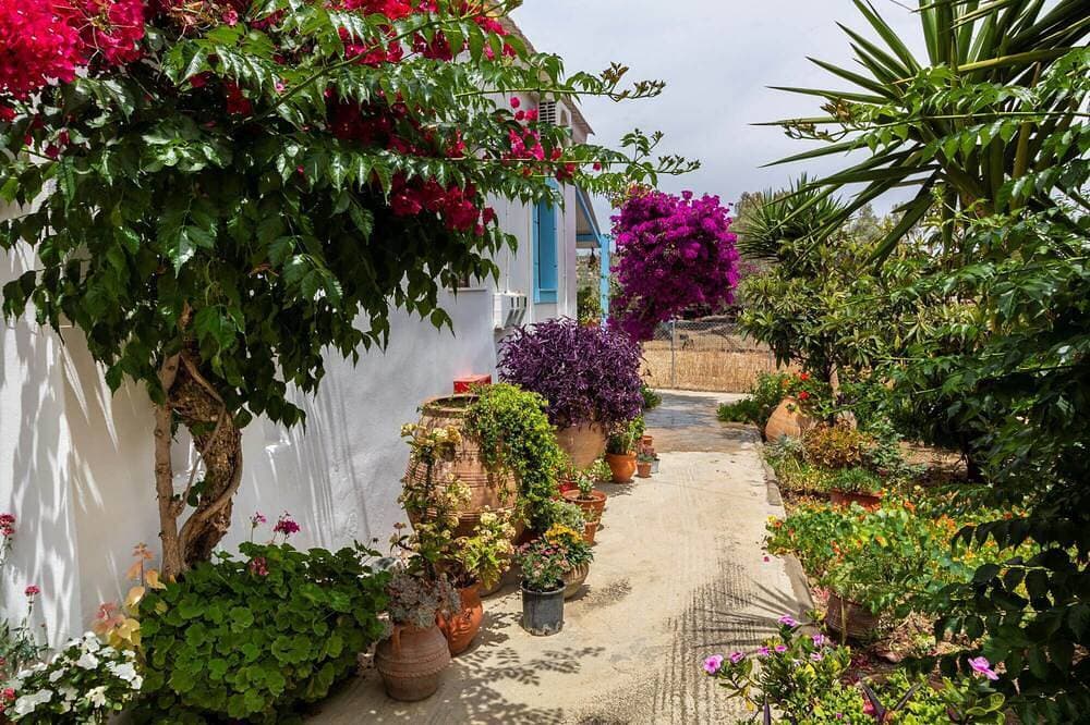 Foto 12 von 29: Lovely gardens and Comfort- 1 bedroom house, free w/wifi -nearby Komos beach