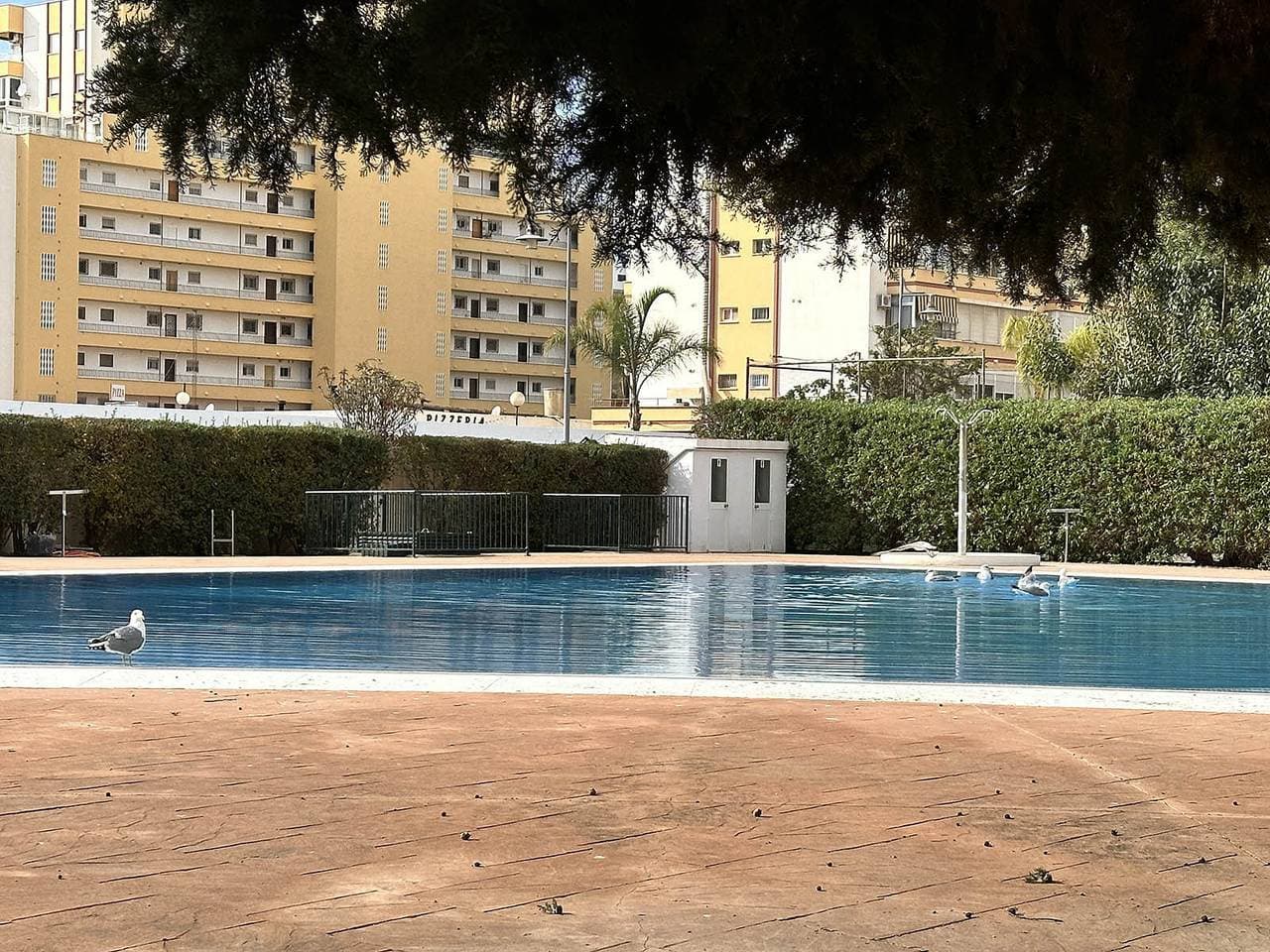 Foto 5 von 14: Terrasol Apartamento Trinidad