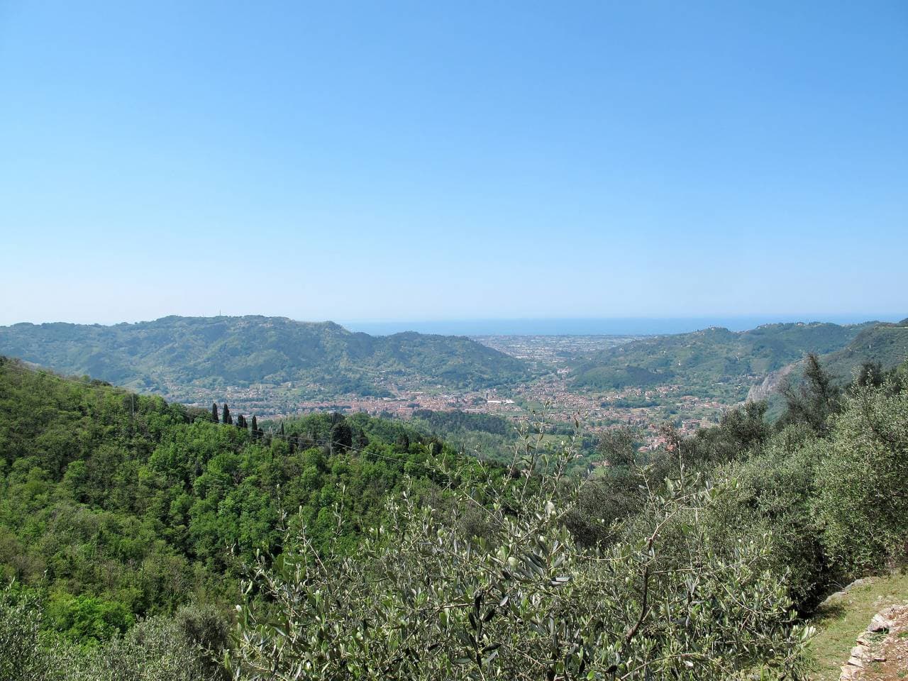 Foto 5 von 29: Olivella