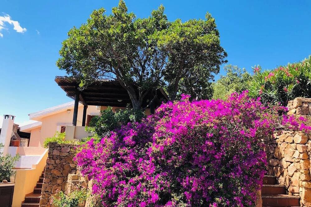Foto 7 von 21: Two-room apartment Oleander Sea view 250 mt beach Porto Taverna
