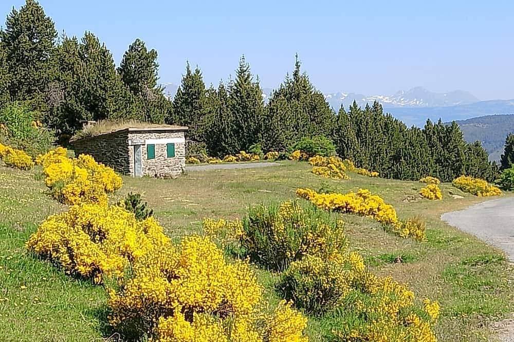 Foto 11 von 30: Chalet in den östlichen Pyrenäen, ausgestattet, warm und umgeben von Natur