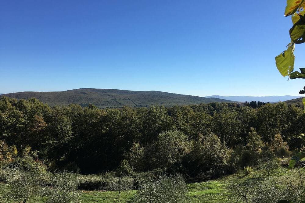 Foto 12 von 18: Between S. Gimignano and Volterra in the peace of the woods of Tuscany
