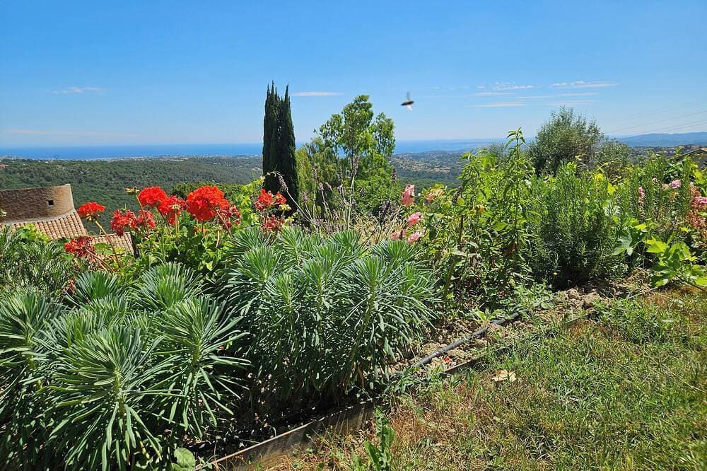 Foto 5 von 14: Appartement Vue Mer an der Côte d' Azur mit Gartenanteil für 2 - 3 Personen