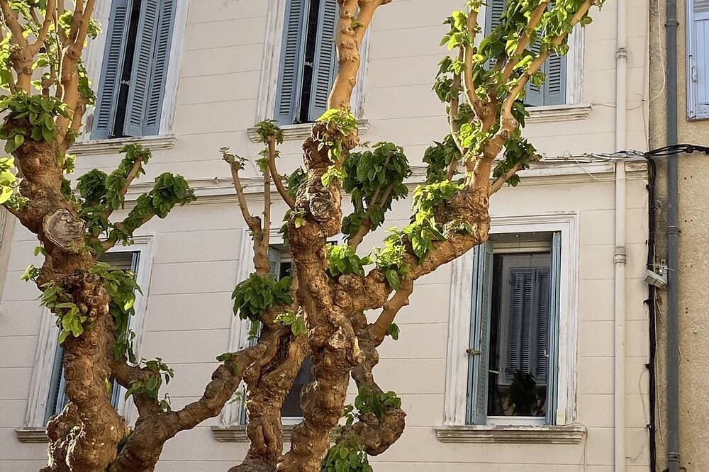 Foto 9 von 20: Terrasse sur le Toit - Cœur de Ville Piétonnier, 2 Pièces de Charme Unique