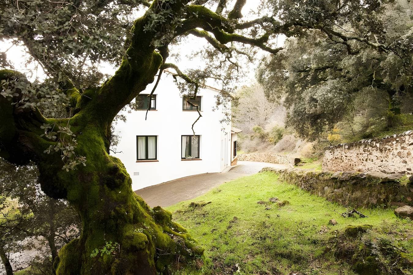 Foto 2 von 23: Casa Correcaminos 2 – Ländliche Unterkunft im Naturpark