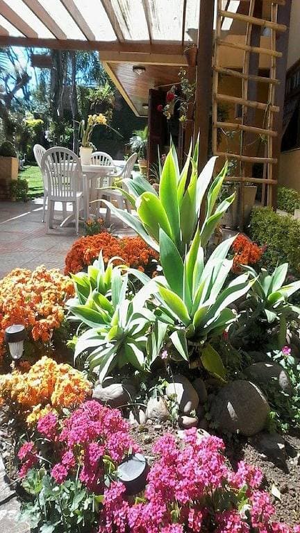 Foto 10 von 50: Palmenhaus mit Kiosk + Déck (Serra Gaúcha)