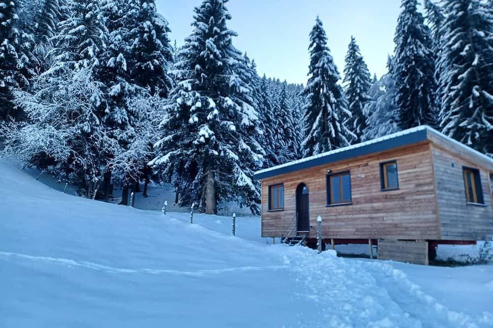Tiny House in Méaudre in the heart of nature (Vercors plateau) 1