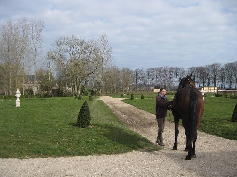 Foto 9 von 22: Gîtes de France® - Manoir de Briquedalles