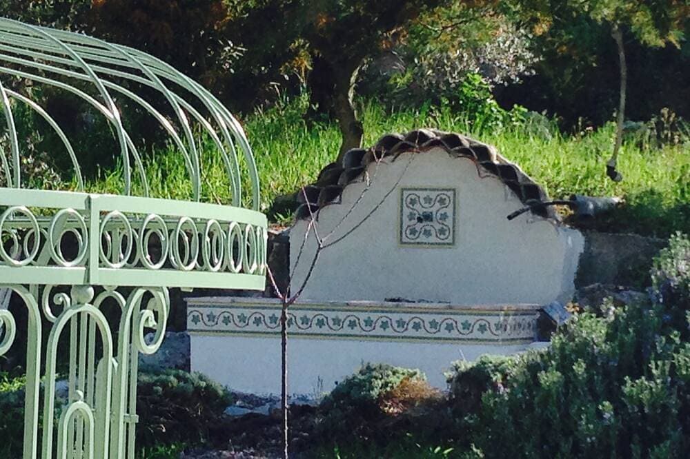 Foto 12 von 30: Im Herzen des Waldes, ein kleines Paradies nur wenige Minuten von Cannes entfernt