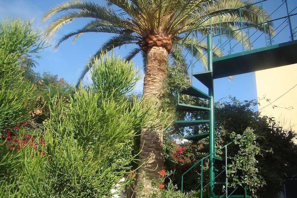 Studio Marcel, Komfortabel und sparsam auf Teneriffa 1