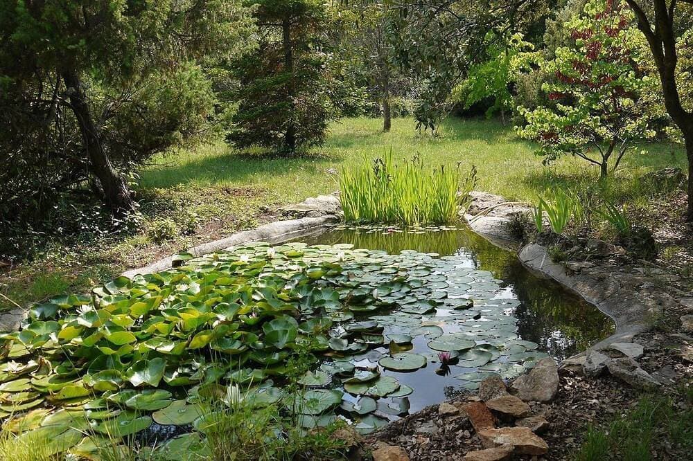 Foto 8 von 13: Ruhiges Haus mitten in der Natur, ideal für Familien und Entspannung