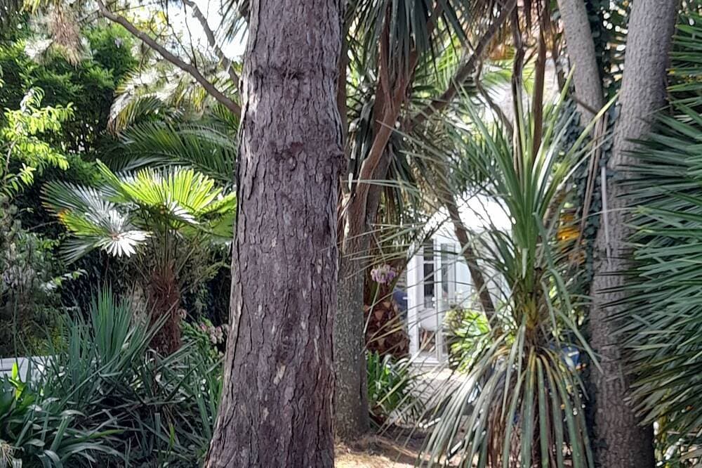 Foto 7 von 28: Ferienhaus auf der Halbinsel Cotentin mit exotischem Garten, sehr nah am Meer