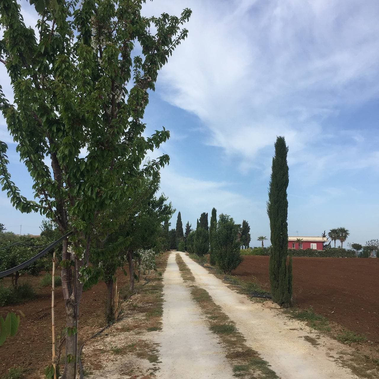 Foto 11 von 30: Pittoreske Villa in Sciacca mit Meerblick und Garten