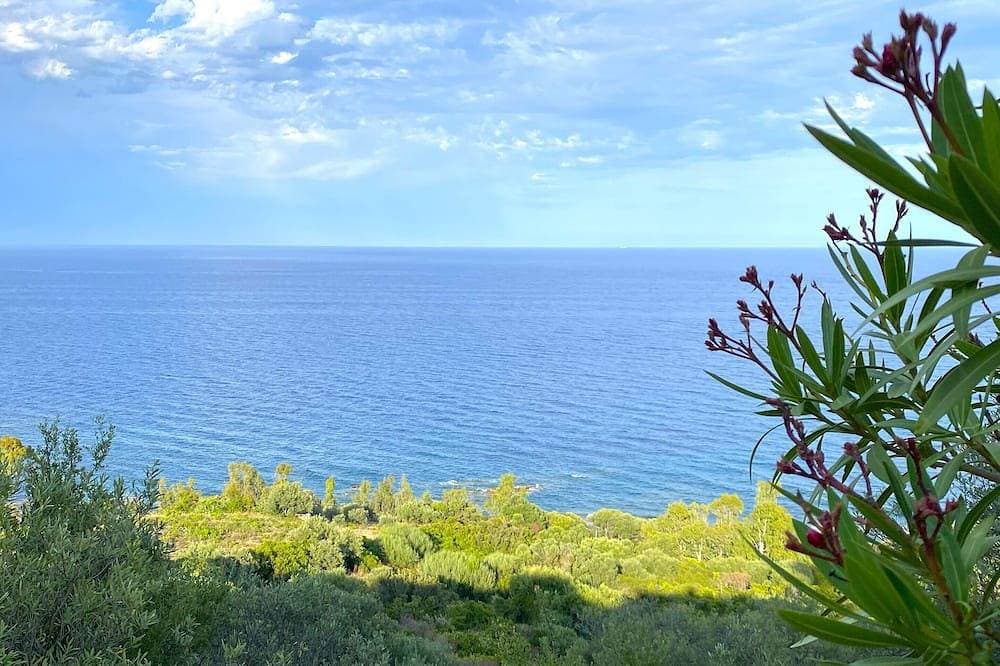 Foto 11 von 13: Small apartment with direct access to the sea