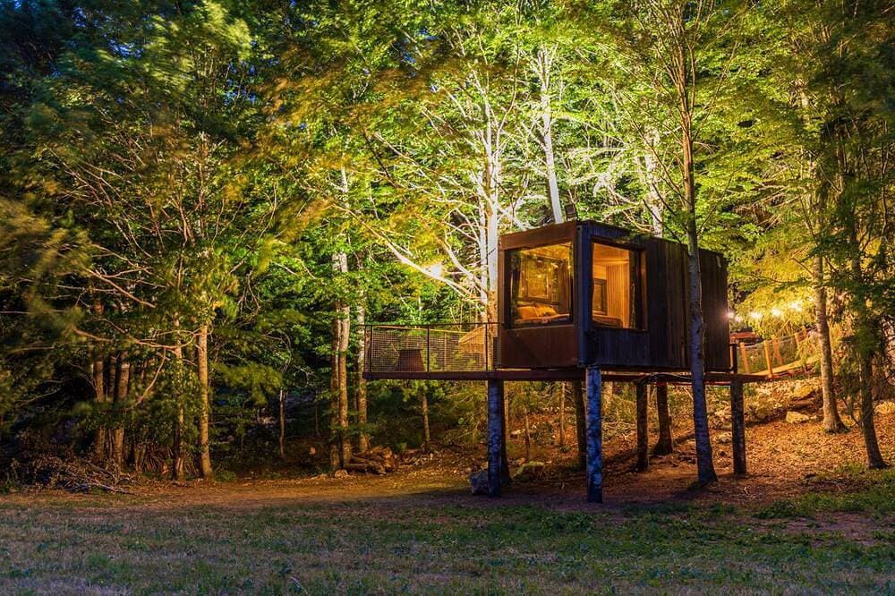 Foto 6 von 30: Kabine-Familie-Ensuite mit Dusche-Blick auf den Wald