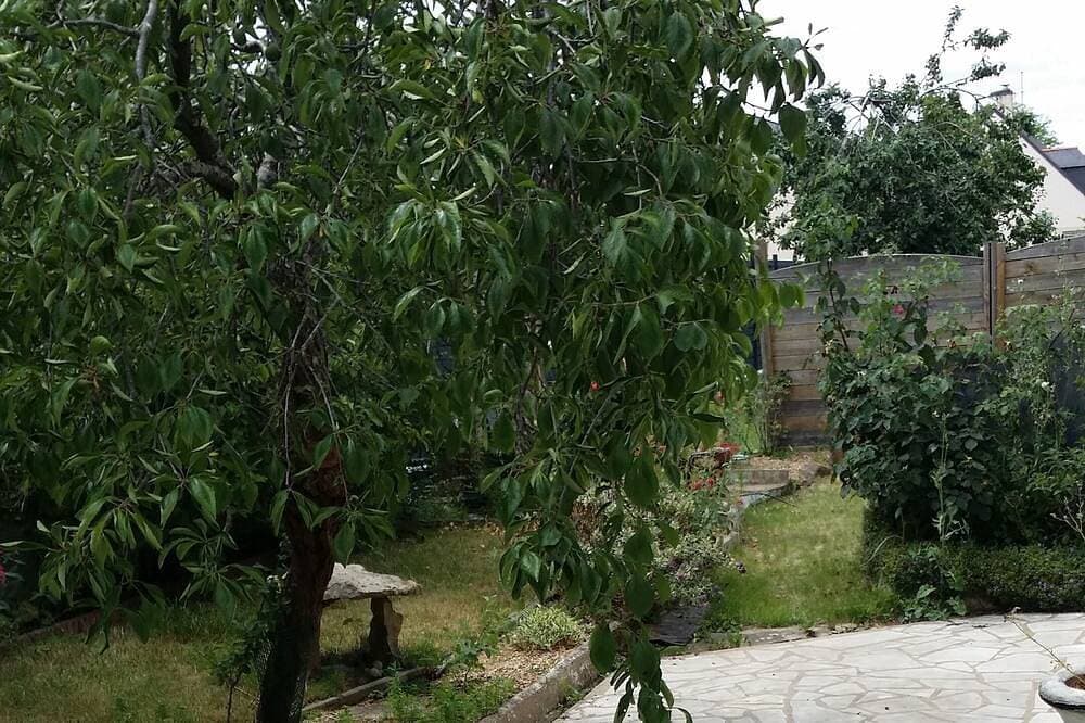 Foto 8 von 10: Einfamilienhaus mit 2 Schlafzimmern für 5 bis 7 Personen