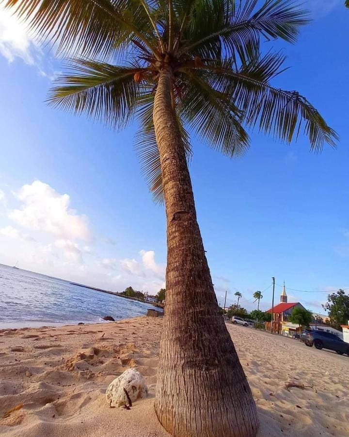 Foto 10 von 11: Bed and Breakfast für 2 Personen mit Garten