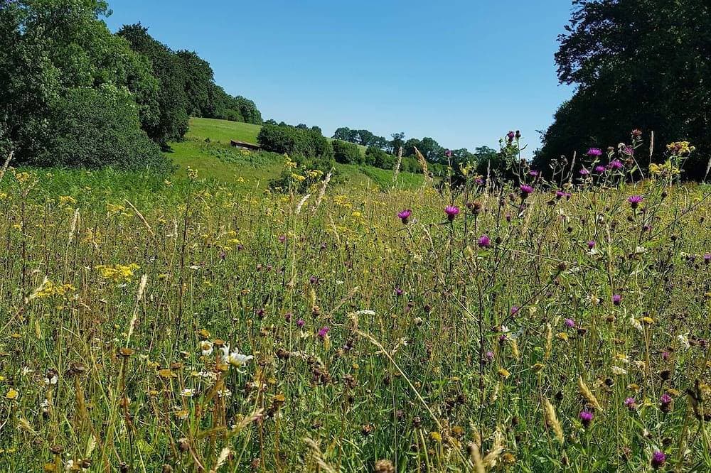 Foto 13 von 21: Nature cottage in Suisse Normande