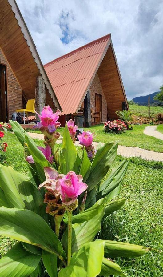 Chalés Flor do Caparaó em Patrimonio da Penha 1