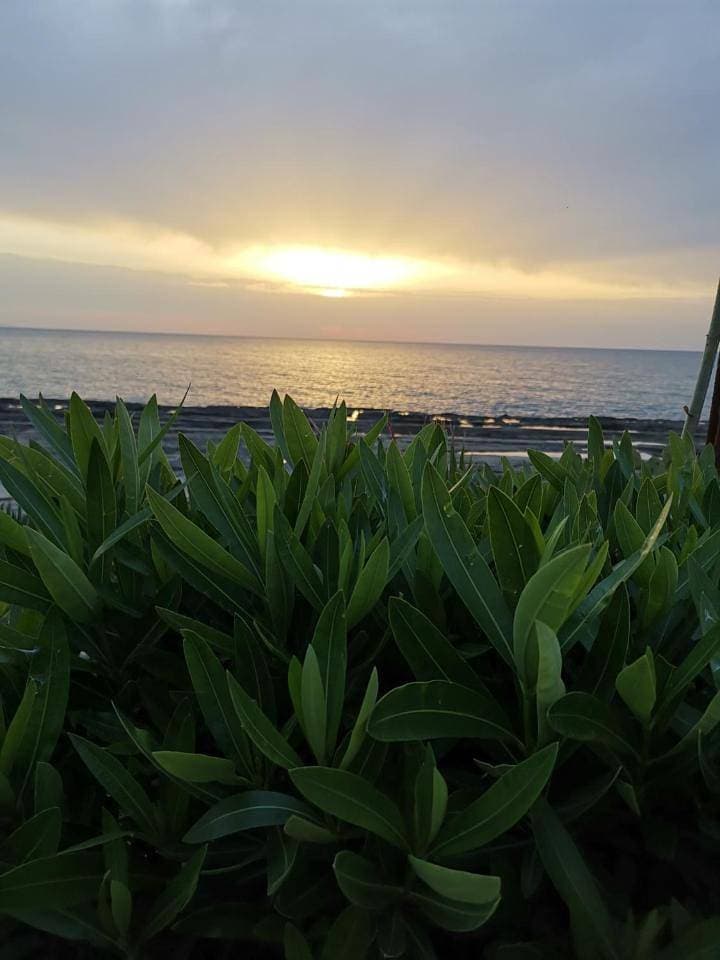 Foto 11 von 52: Apartment with Sea View