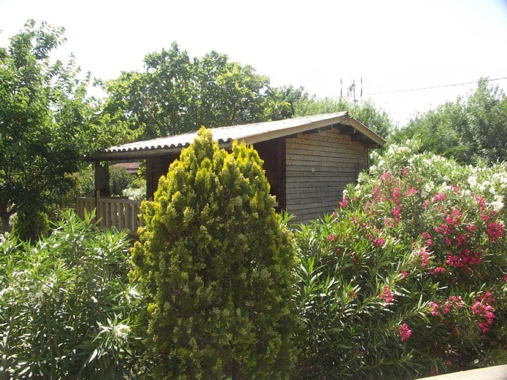 Chalets 1 MESANGE BLEUE Roquebrune Sur Argens 1