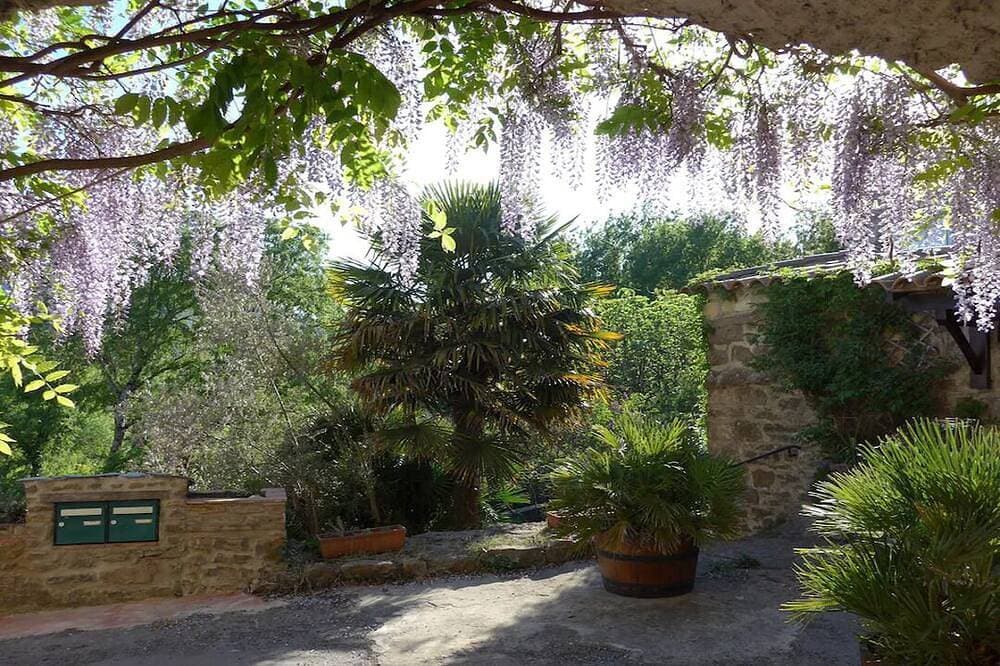 Foto 5 von 30: Domaine  du Figuier „ La Cigale“ in ehemaligem Weingut,gemütl. Wohnung für 2 Per
